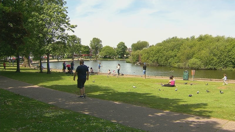 Vitamin D is essential for bone and muscle health. It also helps the immune system to prevent respiratory infections