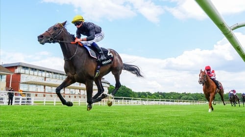 English King was a facile winner at Lingfield