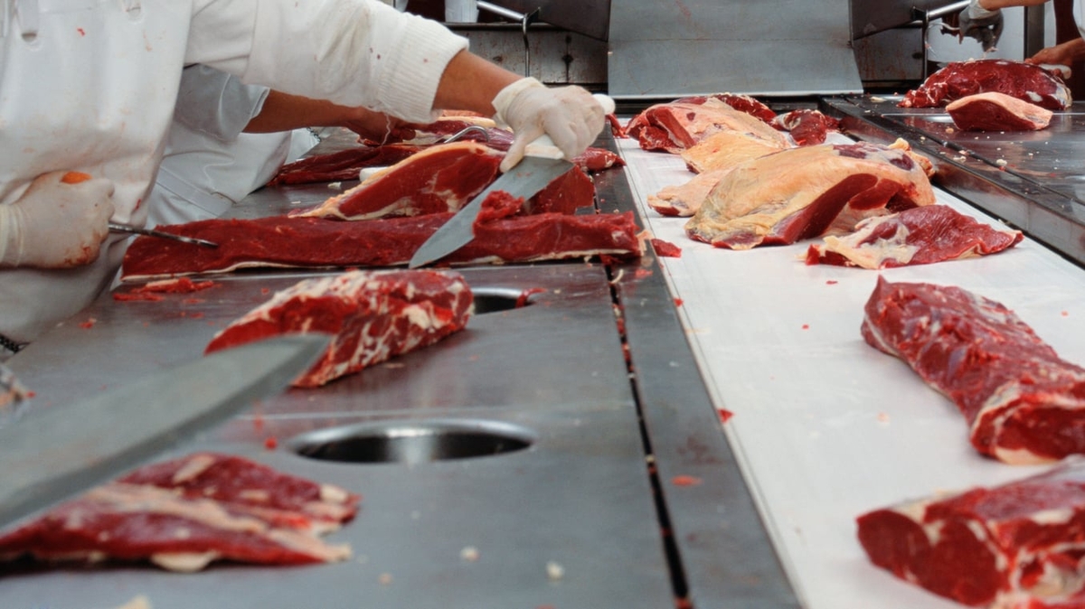 Some meat industry workers 'petrified' of getting Covid-19, committee hears