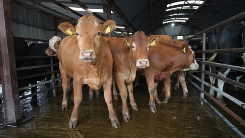 The draft document emphasises that farming needs to be economically and socially sustainable