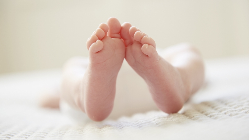 The new website will offer baby essentials, nursery items and toys