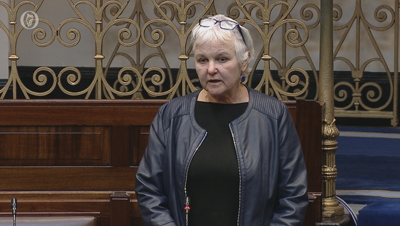 Bríd Smith was first elected in 2016, and re-elected in 2020 (file image)