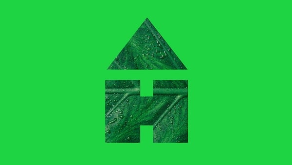 Rang 1 & Rang 2: Eolaíocht – Gas na bPlandaí