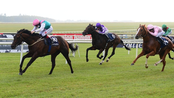 Siskin shone for Ger Lyons in the feature at HQ