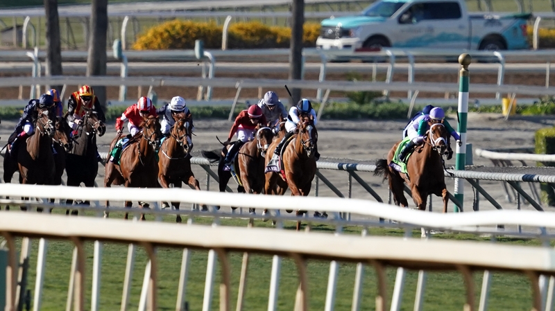 Sharing beat the likes of Daahyeh and Albigna in last season's Breeders' Cup Juvenile Fillies Turf