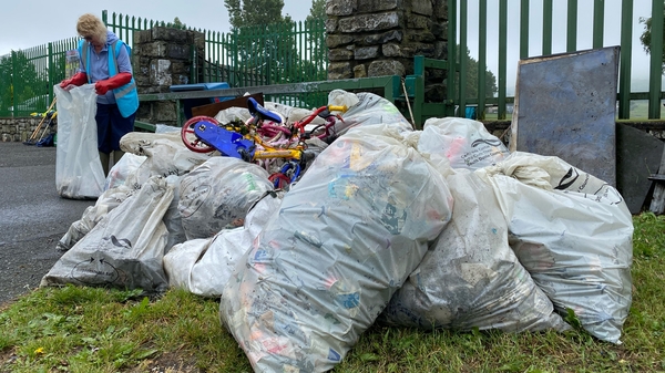 Almost 100 bags of rubbish were collected during two clean-ups of the River Dodder in Dublin at the weekend