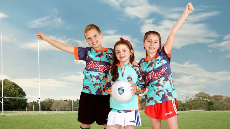 Since 2006, almost 1,400,000 children have taken part in the Cúl Camps