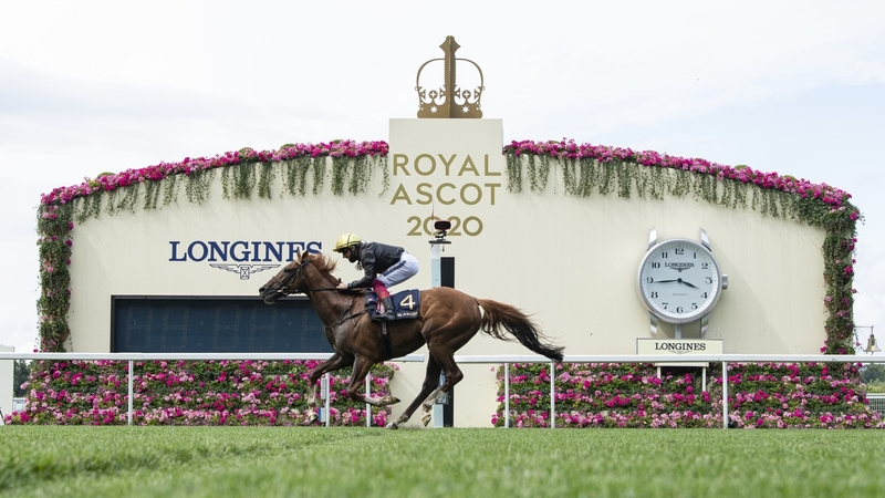 Stradivarius has finished in the first three in 23 of his 27 career starts