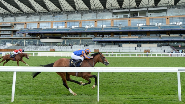 Santiago is one of Aidan O'Brien's hopefuls for the Dubai Duty Free Irish Derby