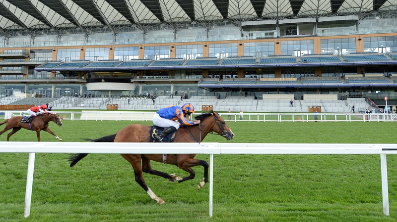 After scoring at Royal Ascot, Santiago will be dropping down two furlongs in trip for Saturday's race, should he take up his entry