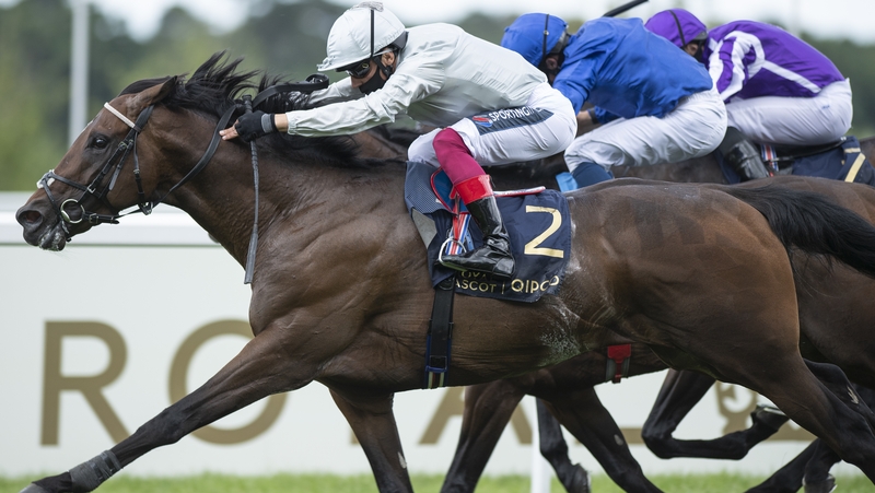 Palace Pier prevails in a driving finish