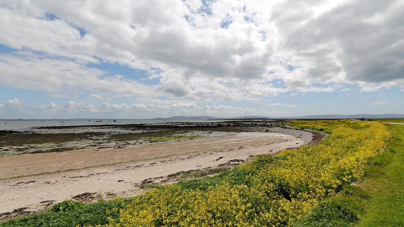 "Sewage overflows gave rise to the release of waste containing wipes and sanitary towels, which were deposited on the beach near the Claddagh in Galway". Photo: Robert Linsdell https://www.flickr.com/photos/boblinsdell/