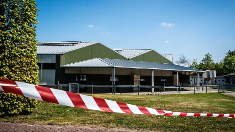 Health authorities slaughtered more than 1,500 mink earlier this month after the coronavirus surfaced in nine farms