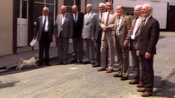 Nine Brothers in Timoleague