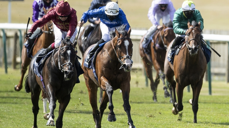 Military March (white cap) ran a good Derby trial when fourth behind Kameko in the 2000 Guineas