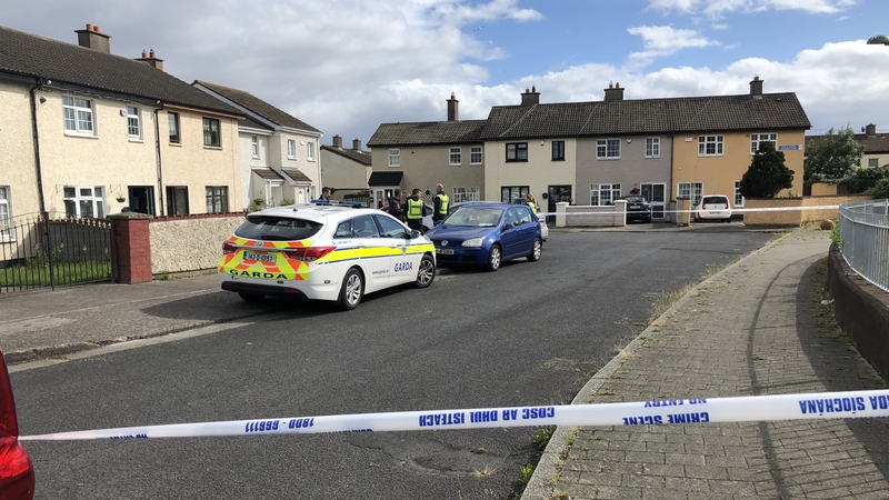 Gardaí say the suspected offender fled the scene