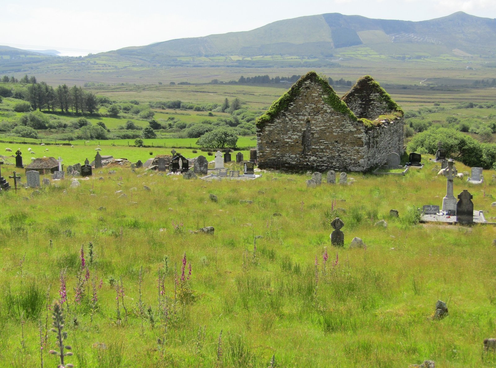 Sugreana cemetery near Cahersiveen, Co. Kerry where many victims of starvation and disease were buried. [Photo: John Crowley]