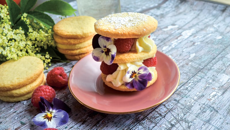 Make the most of elderflower season with these recipes from Catherine Fulvio.