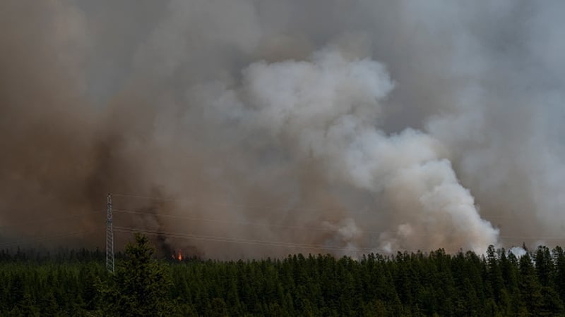 Russia's northern territories have faced a heat wave in recent weeks (File pic)