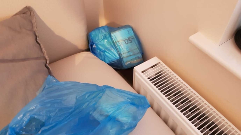 Gardaí said cash totalling €733.499 was seized