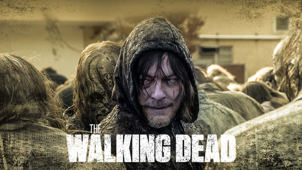 Norman Reedus as Daryl