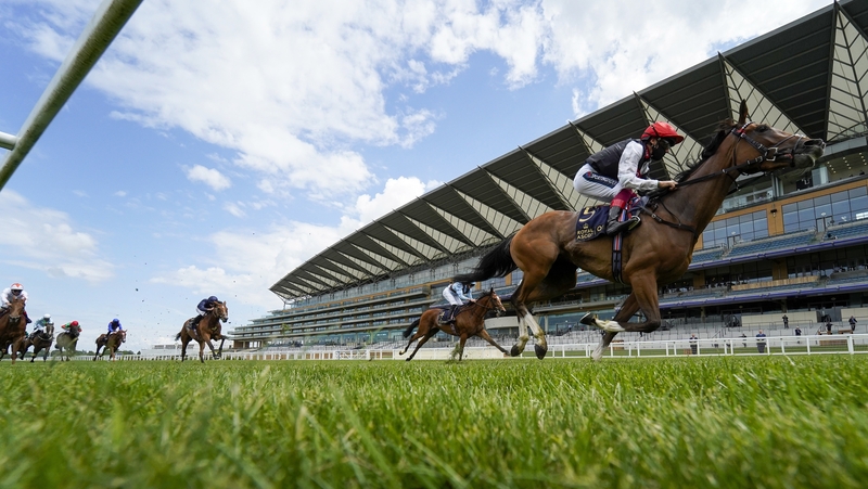 Frankly Darling is the main rival in the betting to Oaks favourite Love