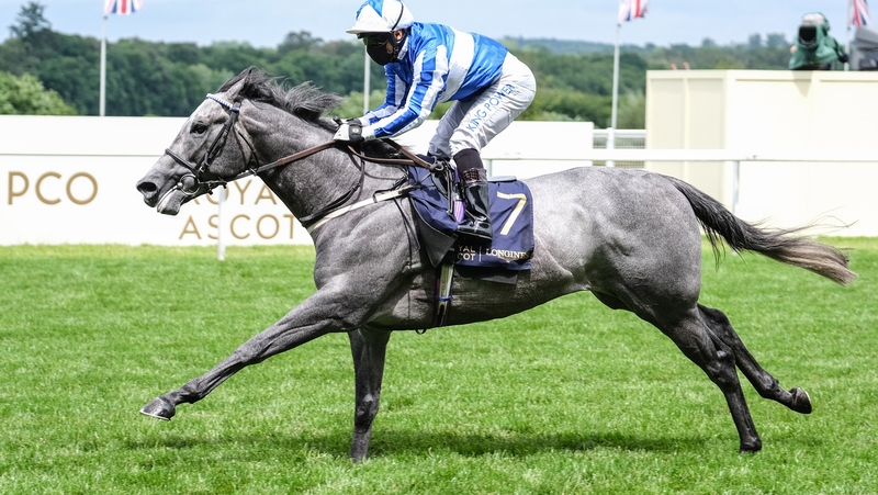 Art Power could be mixing it in Group One races in the near future