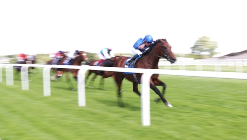 Ghaiyyath boasts a perfect record in Group One company this season