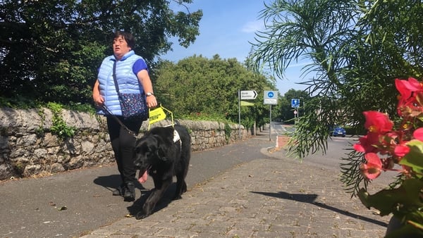 Forrest and his owner Tina Lowe face new challenges as Covid-19 restrictions are lifted