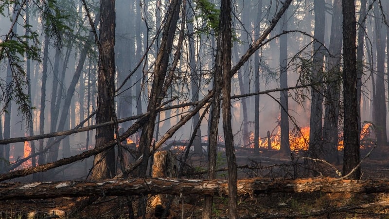 Forest fire in central Yakutia in early June