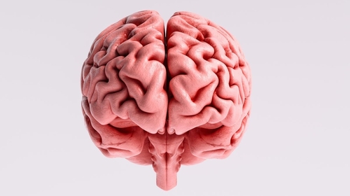 "We are only starting to understand the full scope of the brain's involvement in the disease"