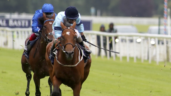 Thunderous got back to winning ways in the Dante
