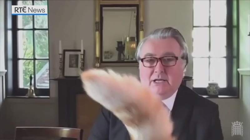 John Nicolson apologised to his colleagues for the interruption