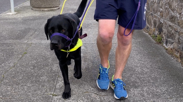 Man's best friend - Leon leads Duncan on a daytime stroll