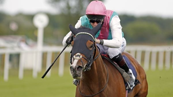 Portrush became an even more valuable future broodmare with her Yarmouth maiden success