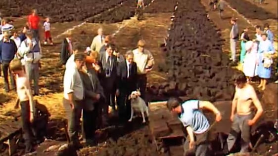 Turf Cutting Competition (1985)