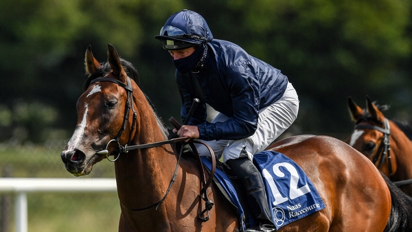 More Beautiful goes in the Airlie Stud Stakes
