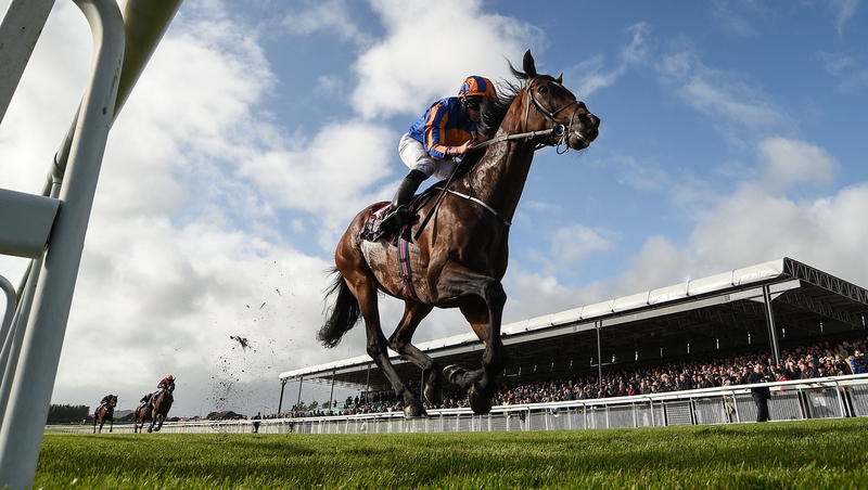 Champions Weekend will take place on 12 and 13 September