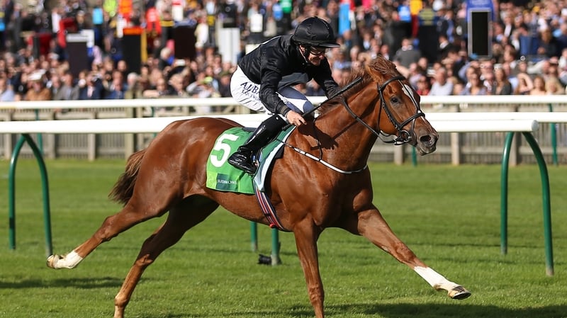 Missile unlikely to take on a Group 1 just yet