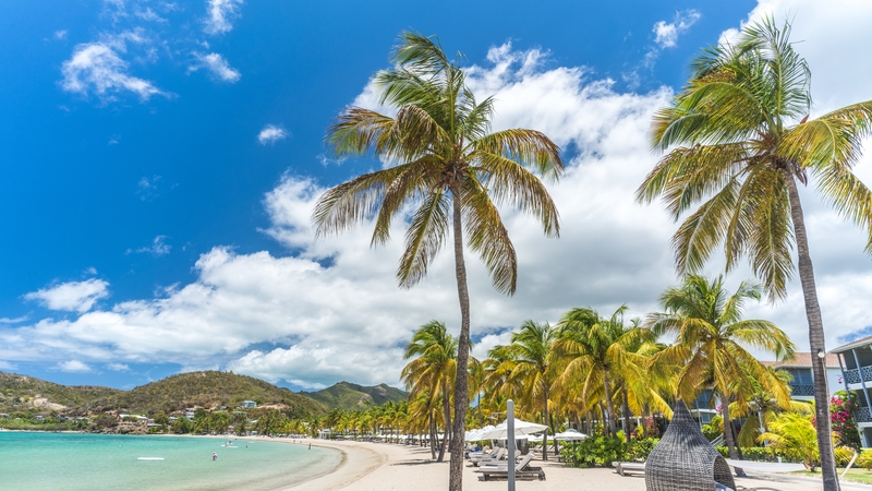 Some people decided to really engage in remote working during the Covid crisis