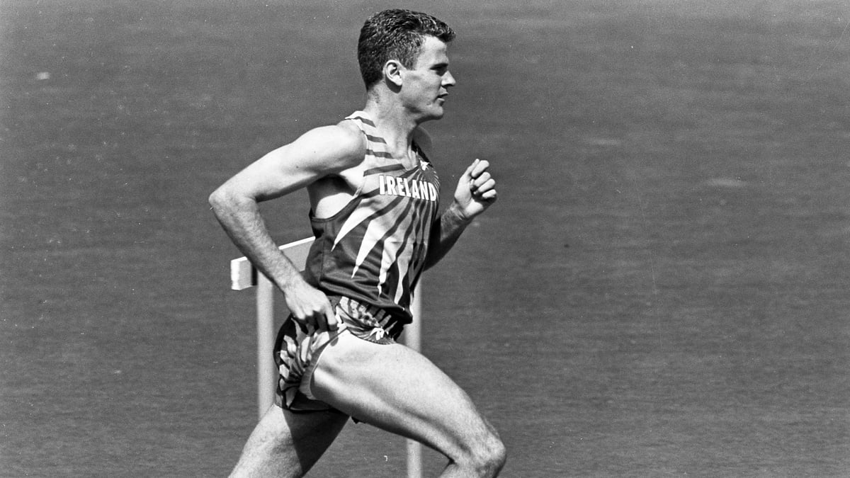 Shane Healy - Back On Track