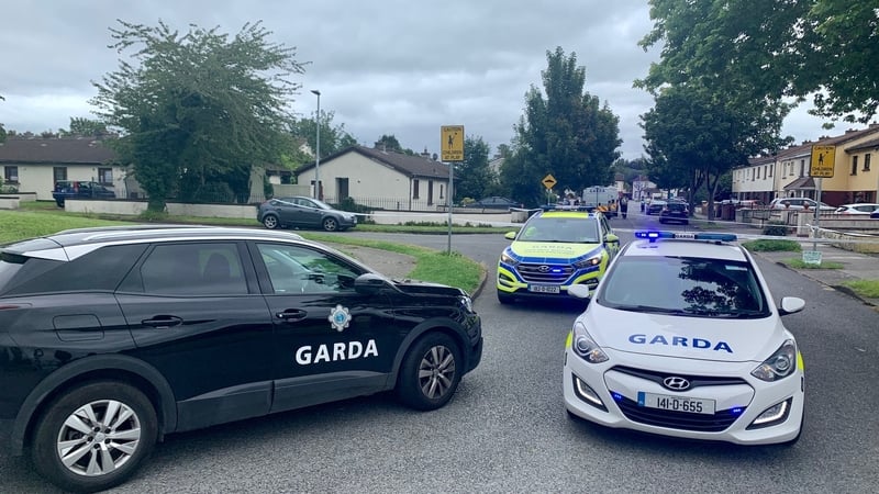 The incident happened outside a house in Clonsilla