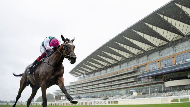 Enable will return at Kempton in the September Stakes