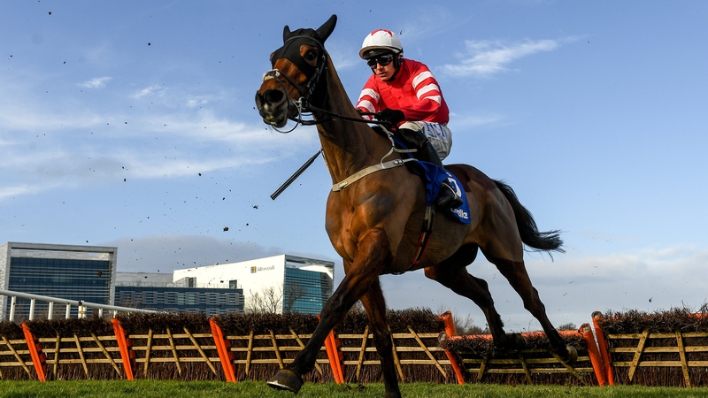 Mt Leinster is tipped to perform in the final race of the opening day at the Ballybrit track