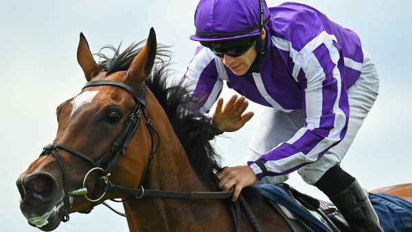 Wayne Lordan rode Magical to victory