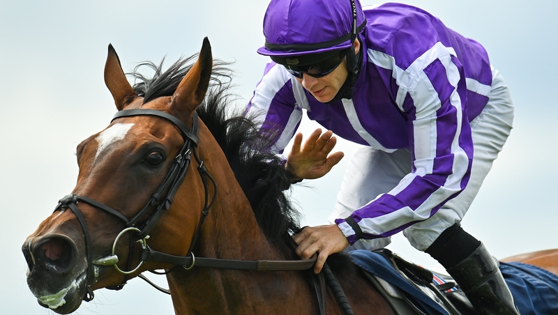 Magical's retirement has been confirmed