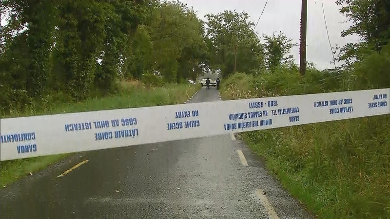 A man in his 60s died in a single-vehicle crash in the Maglass East area of Castleisland
