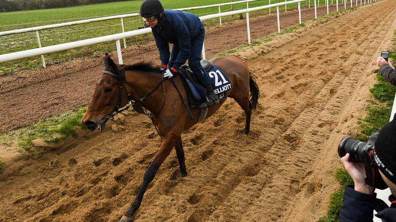 Galvin is put through his paces at Gordon Elliott's yard
