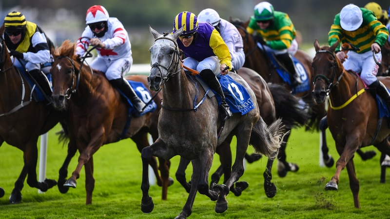 Finian Maguire can afford to smile aboard the progressive grey mare in the closing stages of the big amateur handicap