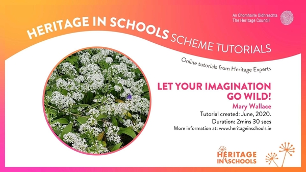 Heritage in Schools - Wild Garlic